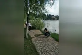 单身男恶搞路人情侣，情人节千万小心他，不然媳妇就被拐跑了视频封面