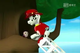 《汪汪队立大功》莱德和狗狗发现海盗的第三张藏宝图