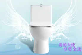 法恩莎卫浴带你看看新晋金马桶图片