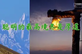 聪明的最高境界是厚道（美文）视频封面