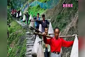 贵州锦屏：实拍村民大山里采撷山核桃，真的很壮观视频封面