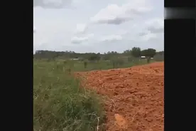 摩托车最新玩法，男女搭档见证这一切