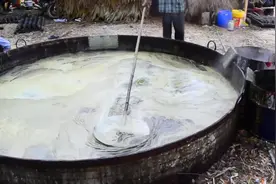 印度人用甘蔗做冰糖（石蜜），看得我赶紧把糖给扔了