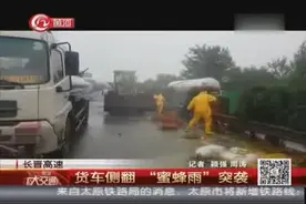 长晋高速：货车侧翻 “蜜蜂雨”突袭视频封面