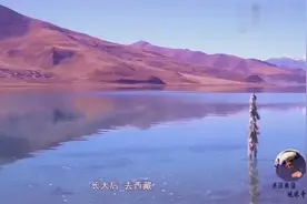 揭秘：西藏湖里的鱼比天上的鸟还多，为什么却无人敢钓？视频封面