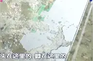 两女子宿醉KTV 上万消费惹来跳楼惨案视频封面
