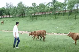 旅行的意义是什么？3分钟告诉你，太深刻了！