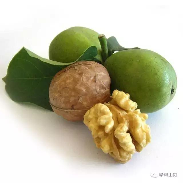 九月山阳游，吃喝玩乐在初秋