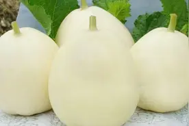 这些水果都是天然的饮料，不含任何添加剂，美容养颜又解渴视频封面