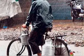 印度的“外卖小哥”，出错率只有0.001%，风雨无阻图片
