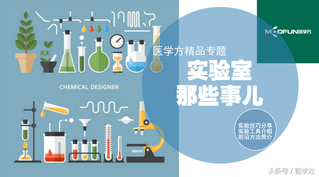 蛋白系列课程｜蛋白质定量：（Bradford法）