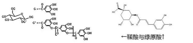 有机化学之熟悉的陌生“酸”