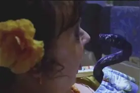 女子正在睡觉突然一条毒蛇钻进衣服里，下一秒悲剧了！视频封面