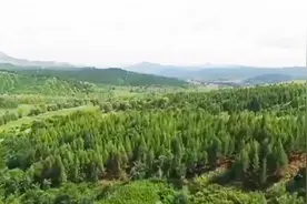 投入500多亿元 “三北”防护林工程取得重大进展视频封面