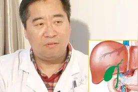 胆囊位于身体的哪个部位，主要有哪些功能？