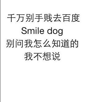 微笑狗,千万不要搜索smile.jpg