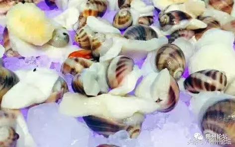 随州珊瑚海请100余名教师免费吃海鲜!