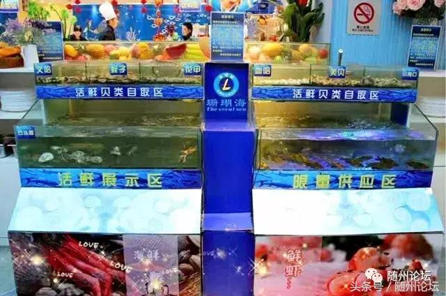 随州珊瑚海请100余名教师免费吃海鲜!