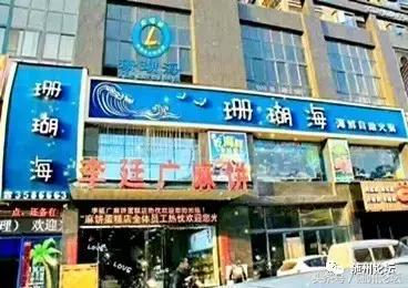 随州珊瑚海请100余名教师免费吃海鲜!