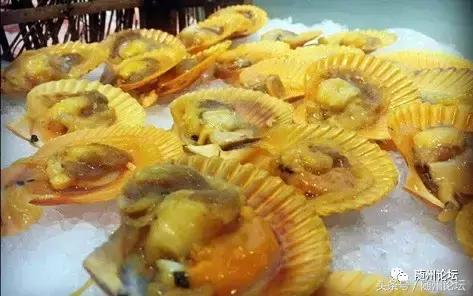 随州珊瑚海请100余名教师免费吃海鲜!