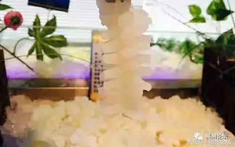 随州珊瑚海请100余名教师免费吃海鲜!