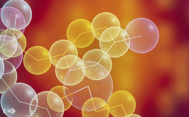 关于氨基酸的记忆口诀！