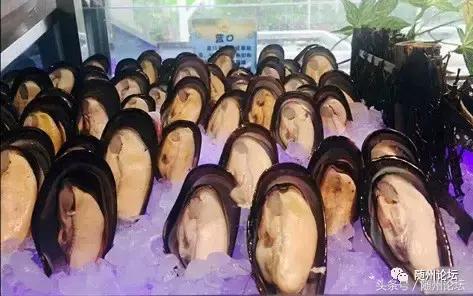 随州珊瑚海请100余名教师免费吃海鲜!