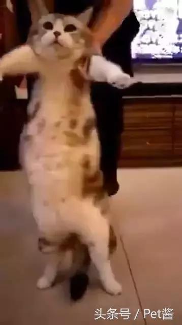èʣѣϷɥĲЦ