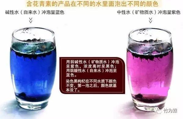 小小野生黑枸杞 大功效