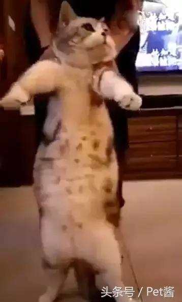 èʣѣϷɥĲЦ