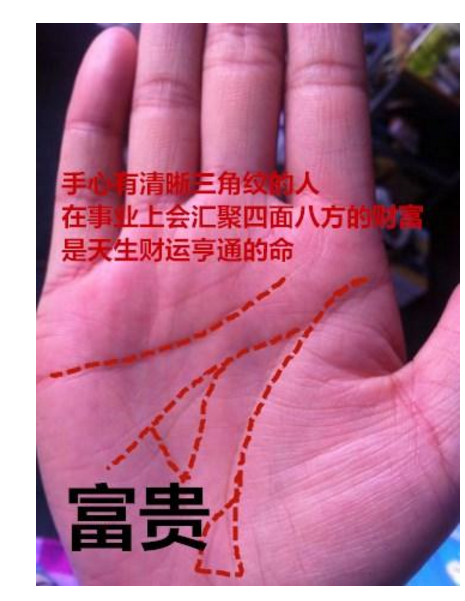 有何道理(手心大三角纹穷不闭合) - 冷求网