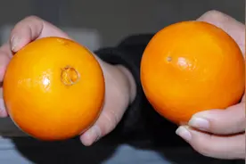 色素橙子太多不会挑选？教你一招挑选最好吃的脐橙视频封面