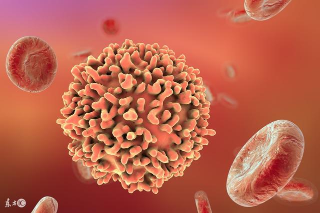 小康说药：复方氨基酸胶囊适合虚弱体质的调理吗？服药要注意什么