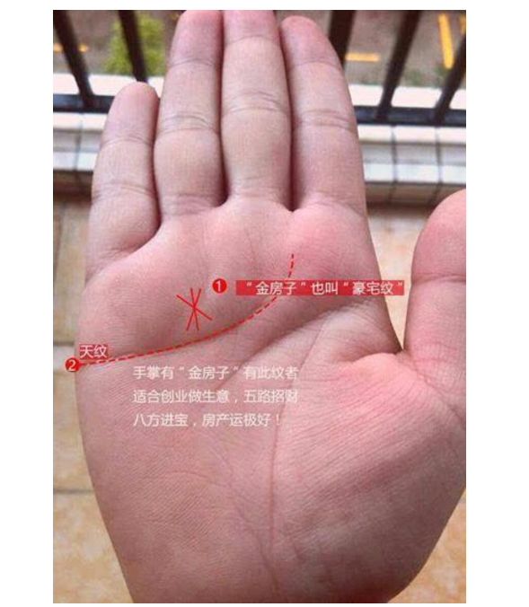 女人手相上的这种纹路,注定一生食禄有余,富贵满门
