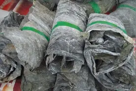 她长期吃海带上的白色粉末，过了一个月，肾脏发生了巨大变化视频封面