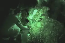 隧道发现可怕生物，能迅速长出无数触须，将人体吸干殆尽