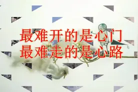 最难开的是心门，最难走的是心路视频封面