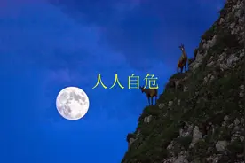 你不知道的成语故事之《人人自危》视频封面