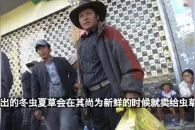 揭秘：冬虫夏草的功效与作用及食用方法视频封面