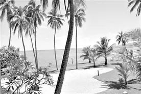 南太平洋的“十字路口”图片