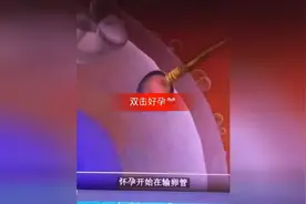 3D演示受孕的全过程视频封面