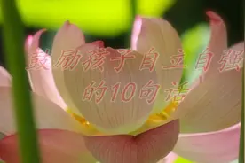 鼓励孩子自立自强的10句话，特别是第二句视频封面