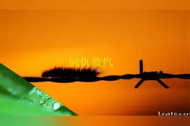 你不知道的成语故事之《同仇敌忾》