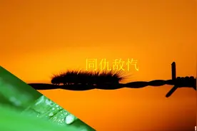你不知道的成语故事之《同仇敌忾》视频封面