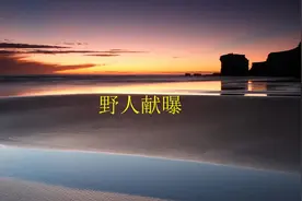 你不知道的成语故事之《野人献曝》视频封面