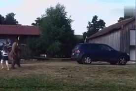 越野车和拖拉机拔河比赛，你们肯定猜不到谁赢了视频封面