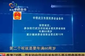 武汉城乡居民基础养老金上调 十月底前发放到位视频封面