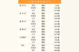 金三银四大爆发！苏州50个楼盘要开盘，21块土地要拍卖！图片