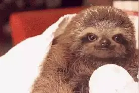 LOL原来正主宝宝的真身长这样，你知道嘛！图片