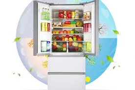 贴心体验，创维冰箱打造智能生活管家图片